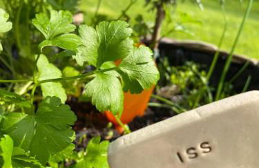 Grimmwald Tiny House - Photo 8