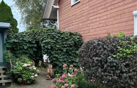 Rottal-AlpakaLodge Zeit zu Zweit im Grünen - Foto 19