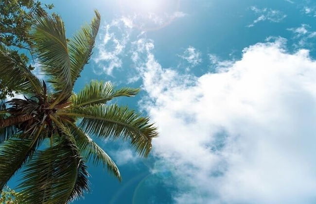 Serene Stay At Terra Verde Resort By Shine Villas 111 3 Bedroom Townhouse - Foto 37