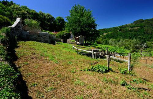 QUINTA do SOUTO BARCIADEMERA - Foto 64