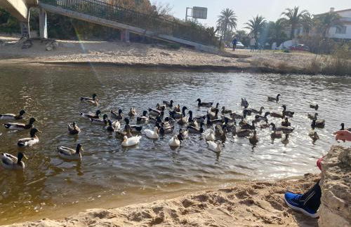 Chalet OLIVA NOVA - Photo 32