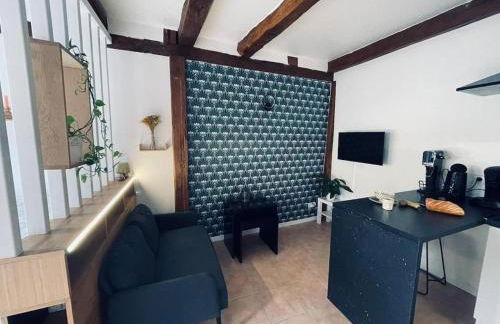 Charmant studio dans le vignoble proche Strasbourg - Foto 26