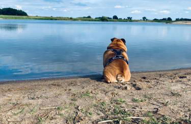 Hausboot Arneburg - Foto 16