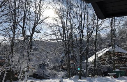 Ferien-Schindeldorf - Photo 7