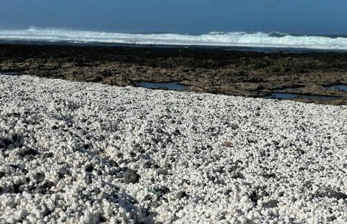 MarVillaFuerte - Foto 68