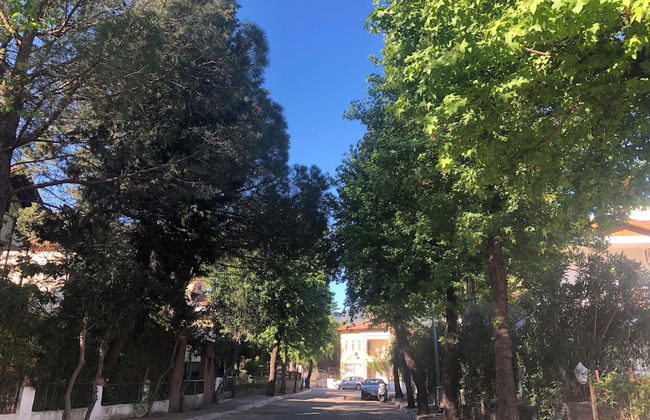 Ustun Apart - Foto 53