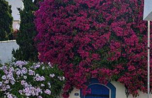 Burgau Village and Sea - Photo 29
