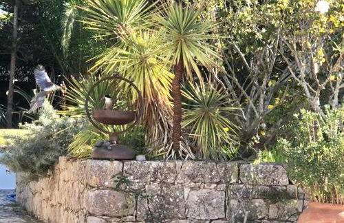 Charming Villa with Heated Pool near Sandy Beach, Hiking, Golf and Wineries - Foto 33