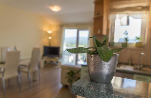 Holiday home Leko with outdoor pool and hot tub , can fit 22 people - Foto 57