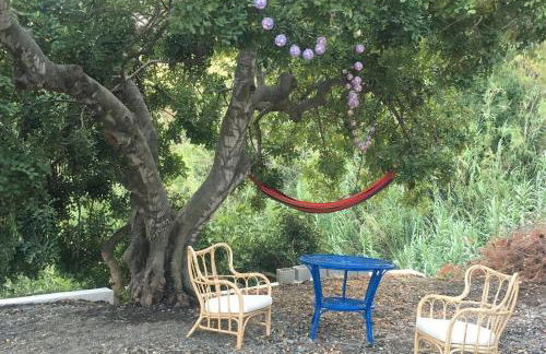 Algarrobo Azul - Photo 25