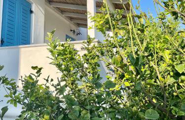 Dimora Miranda - Foto 29