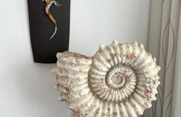 Finca Thiago - Foto 23