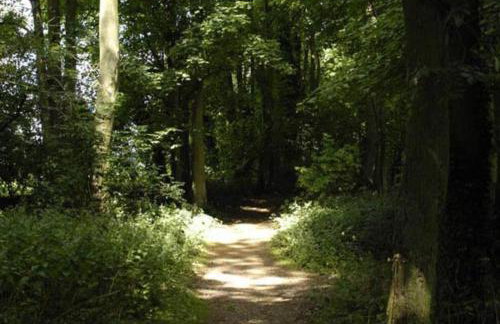 Lakes and woodlands hiking Overstone Holiday Park - Foto 102