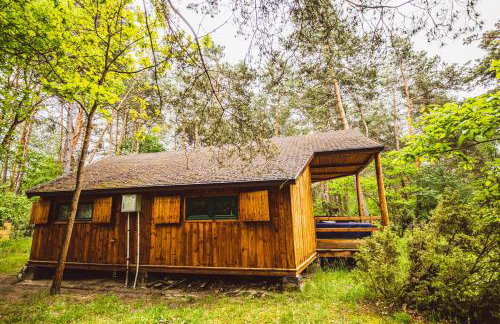 Autumn Nature Cottage Stove Garden by PolandBnB - Foto 75