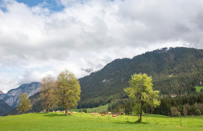 Holiday Home in Saalfelden - Foto 39