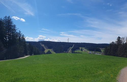 Haus Schanzenblick Fewo11 im Herzen des Schwarzwaldes - Foto 12