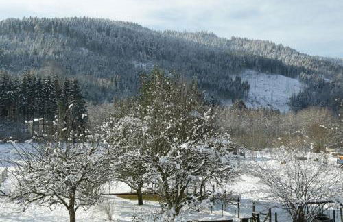 Chez Vovone 3 étoiles clévacances - Foto 22