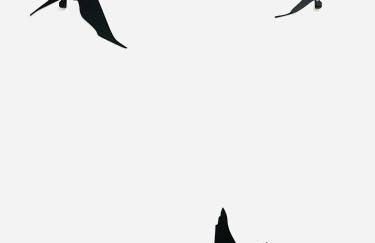 Apartment mit Blick ins Grüne - Foto 13