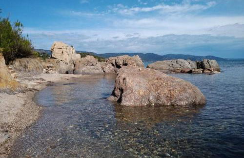 FACE MER ENTRE PLAGE ET MARINA - Foto 34