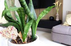 Apartman Cozy - Foto 25