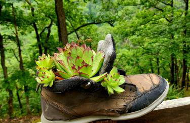 Premium Vulkaneifel Chalet - Foto 32