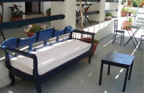 Plumeria Flowery - Foto 38