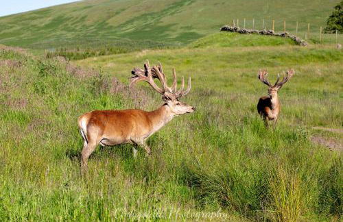 Newholme House - Photo 51