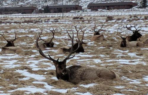 Spectacular Mountain Condo - Foto 12