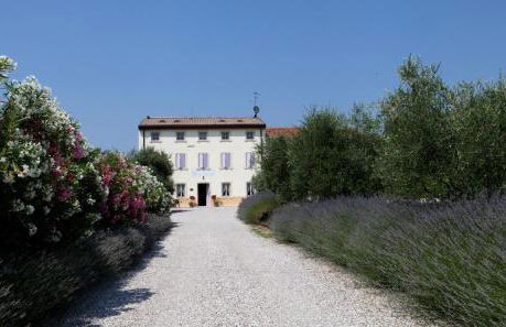 Agriturismo Casa Aurora - Foto 43