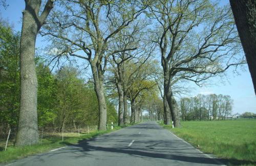 Holiday Home Oderhäuschen by Interhome - Photo 23