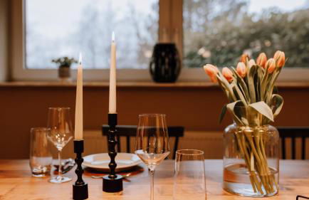 Hollands Ferienhaus Genuss am Wald mit Stil 2 SZ Fahrradgarage Klimaanlage - Foto 36