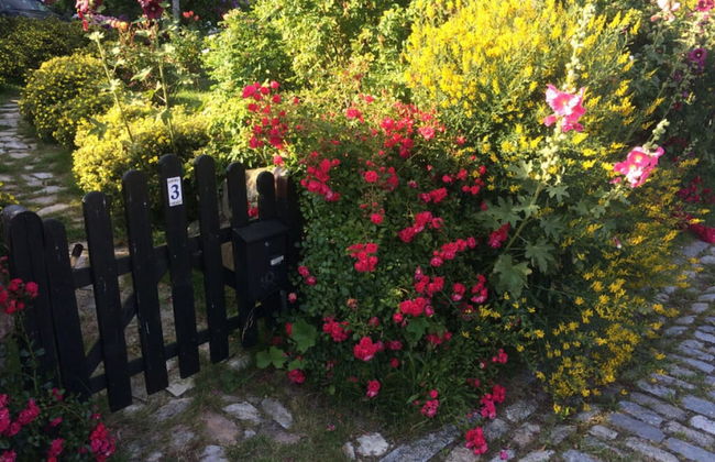 Red-throated Diver Modern Retreat - Foto 16