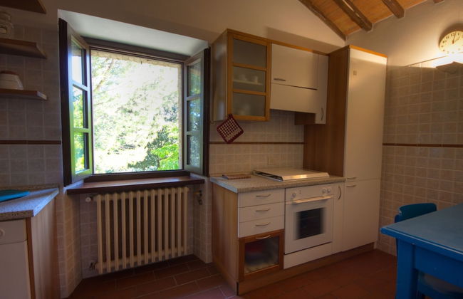 Podere Agrituristico Luchiano - Foto 9