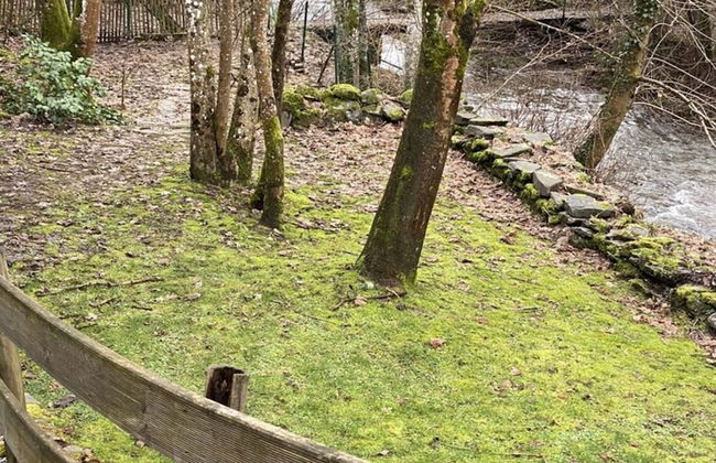 Holiday Home in Semois Valley Near Kayaking - Foto 34