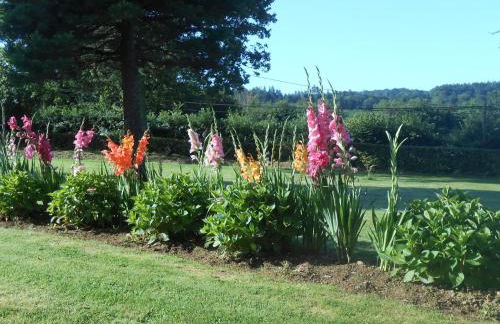 Maison Brix - Foto 33