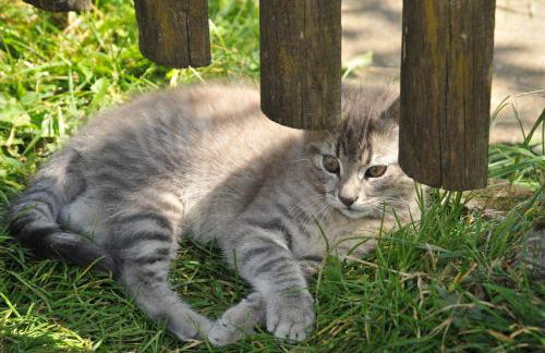 Baschijörgenhof - Foto 14