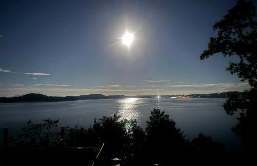 The Overlook on Douglas Lake -Waterfront Luxury - Photo 70