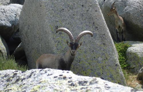 Casas rurales Valle de El Paular - Foto 56