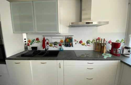 Le Mun,3 étoiles-T2-60m2-balcon-parking-wifi-linge-produits-face à la gerdarmerie-vue cathedrale - Foto 9