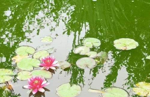 Gîte tout confort avec grand jardin, cheminée, clim et WIFI, proche châteaux de la Loire et ZooParc de Beauval - FR-1-491-400 - Photo 14