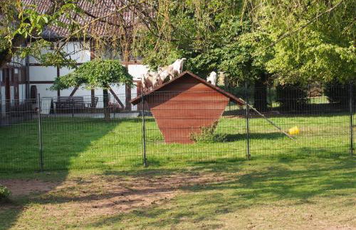 Gut Dankerode - Photo 7