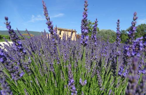 le bastidon - Foto 21