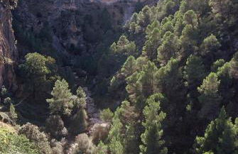 Casas Rurales Mirador del Mundo - Foto 75