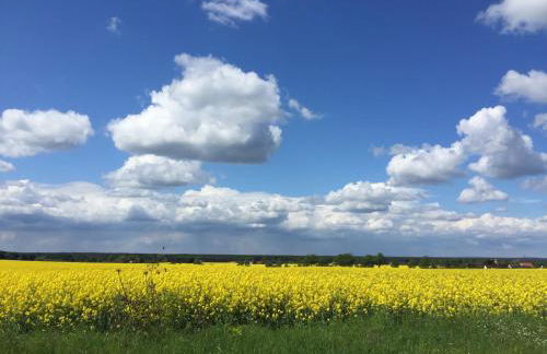 Rast am Park - Foto 24