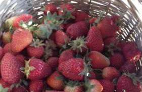 Pò delle Buche - Photo 45