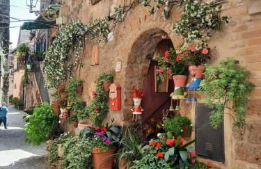 Viccinella House - Foto 20