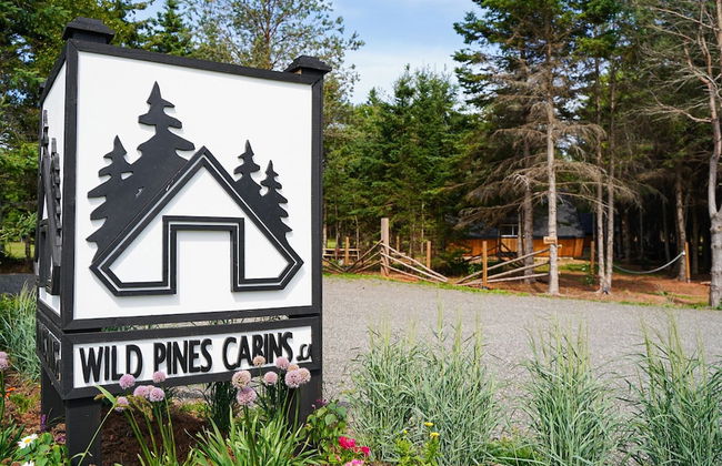 Wild Pines Cabins - Photo 31