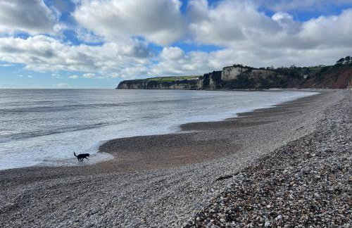 Nutshell Cottage - Foto 19