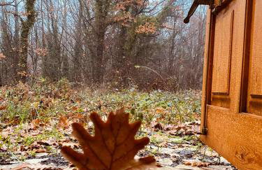 Arnaia Forest Villa - Photo 31