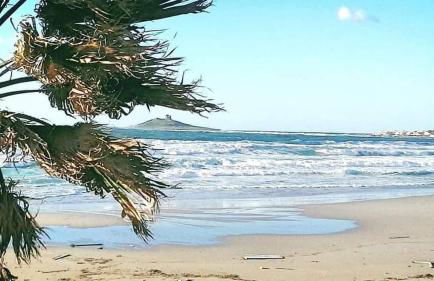 Sole e mare 1 - Foto 52